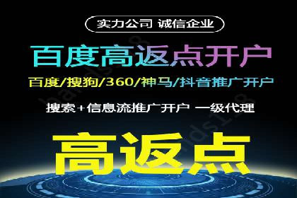 百度推广的投放策略与效果分析